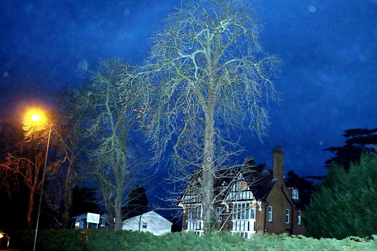 Gatwick Inn ฮอร์เลย์ ภายนอก รูปภาพ